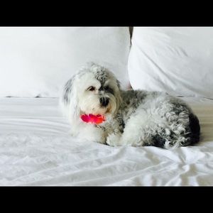 Meet your Posher, Kelly